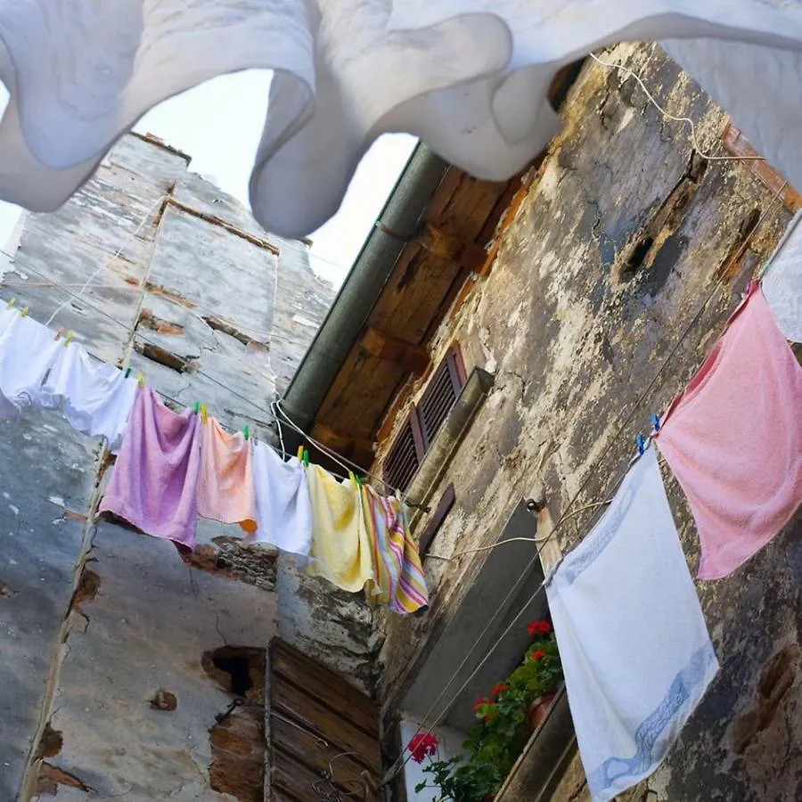 Studio Villa Mattossi Rovinj Chorwacja